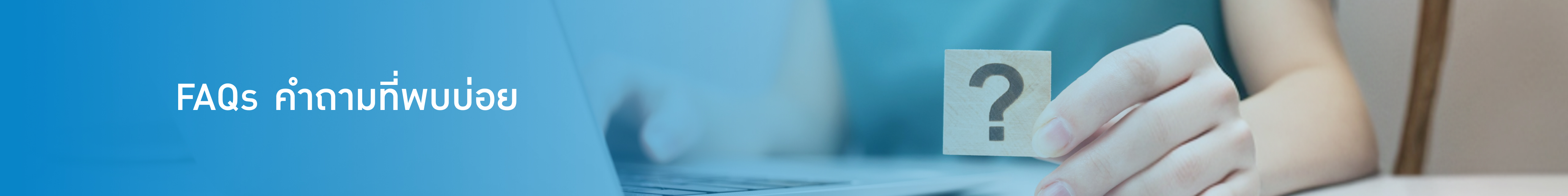 Banner 1